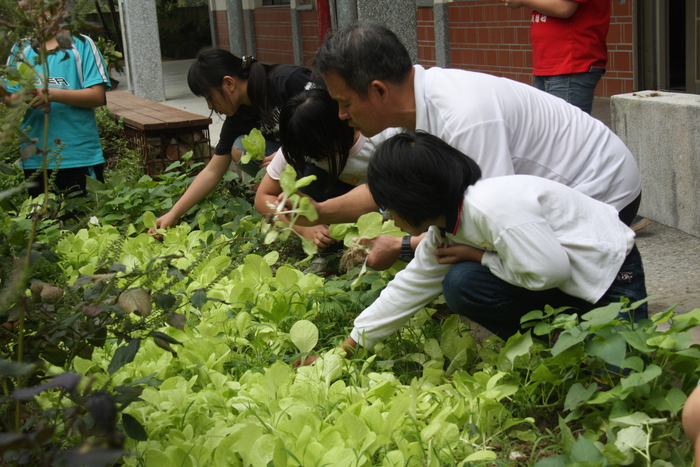 清水菜園-依季節種植不同蔬菜培養責任與體驗生命