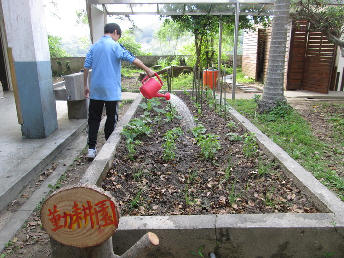 清水菜園(每班一塊勤耕耘)